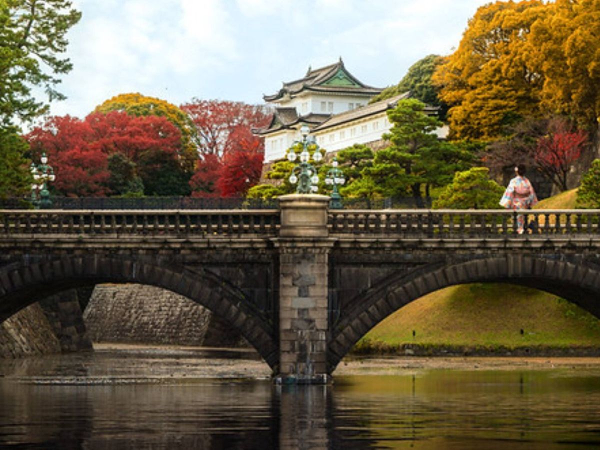 Día 16 · Último día en Tokio · regreso